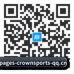 HarmonyOS NEXT 专属 二维码